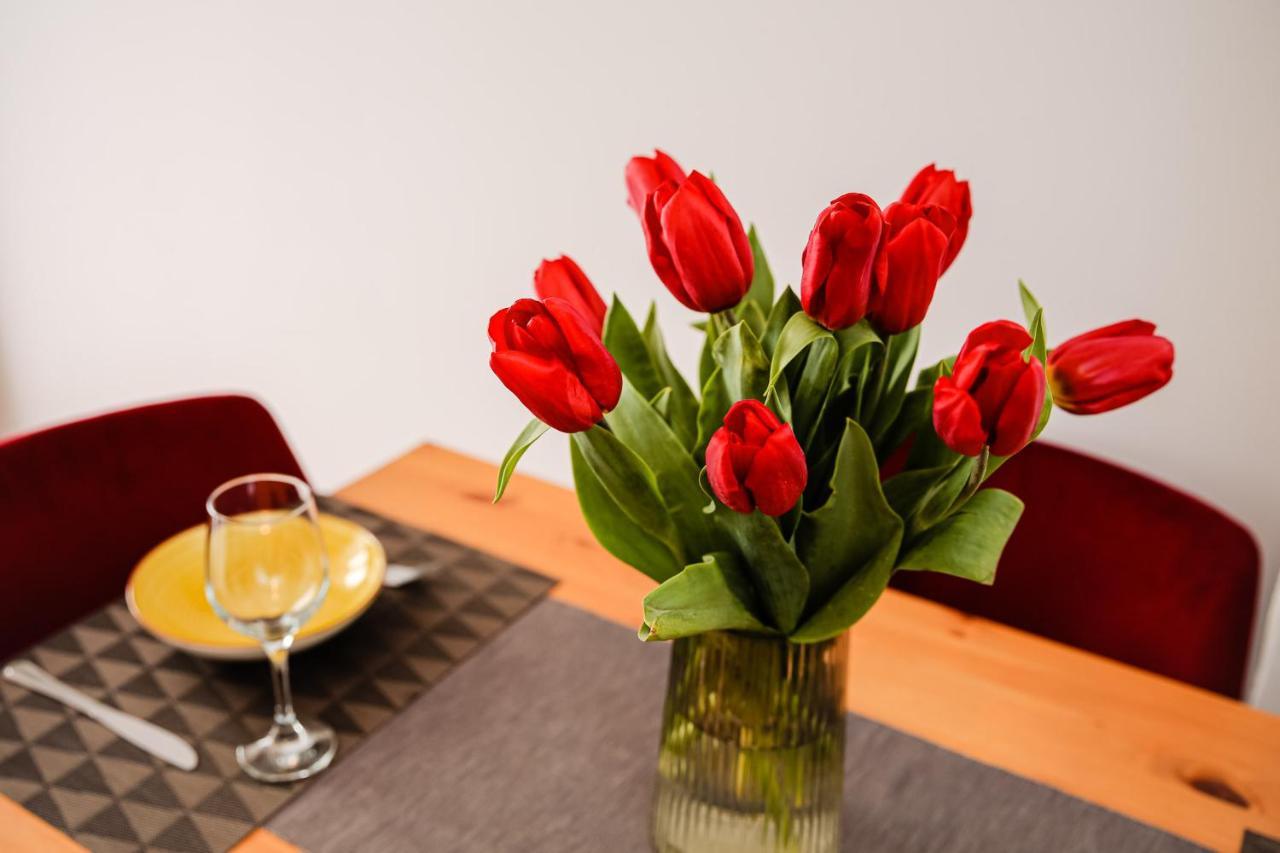 City Apartment Dorobantilor Cluj-Napoca Luaran gambar